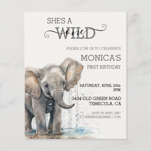 ベビーエレファントジャングルサファリワイルドワン誕生日 (正面)