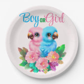 ベビーオウム双生児 ペーパープレート (正面)