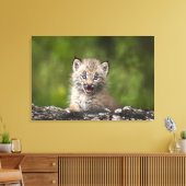 ベビーオオヤマネコが木の上を落ちた見る キャンバスプリント (インサイチュ (リビング))