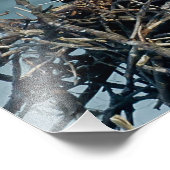 ベビーオスプレイ フォトプリント            (角)