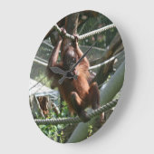 ベビーオランウタンつる – その中 ラージ壁時計 (傾斜)