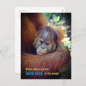 ベビーオラングタン シーズンポストカード (正面/裏面)