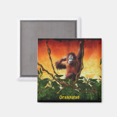 ベビーオラングタン&ジャングルワイルドライフアートマグネット マグネット (正面/裏面)