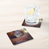 ベビーオラングタン スクエアペーパーコースター (インサイチュ)