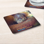 ベビーオラングタン スクエアペーパーコースター (アングル)