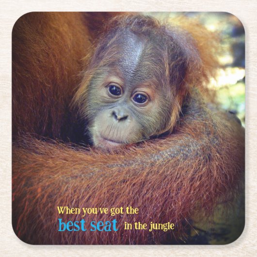 ベビーオラングタン スクエアペーパーコースター (正面)