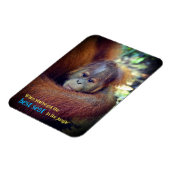 ベビーオラングタン マグネット (左側)