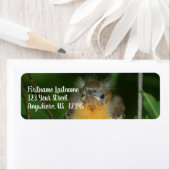 ベビーオリオールの鳥のアドレス ラベル (インサイチュ)