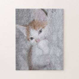 ベビーオレンジと白虎猫の子猫 ジグソーパズル