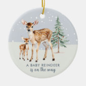 ベビーオン・ウェイWoodland Animals写真 セラミックオーナメント (正面)