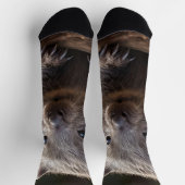 ベビーオーストラリアのウォンバットクルーソックス ソックス (上部)