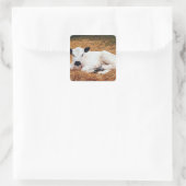 ベビーカウカーフ スクエアシール (バッグ)