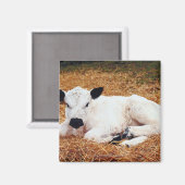 ベビーカウカーフ マグネット (正面/裏面)