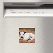 ベビーカウカーフ マグネット (インサイチュ (食洗機))