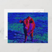 ベビーカウパープルグラス ポストカード (正面/裏面)