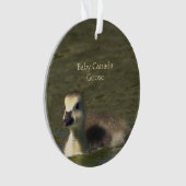 ベビーカナダグースフォトオーナメント オーナメント (正面)