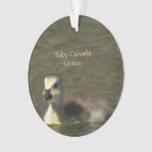ベビーカナダグースフォトオーナメント オーナメント (正面)
