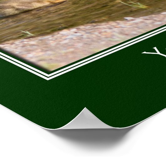 ベビーカナダグースリング独自の作成 ポスター (角)