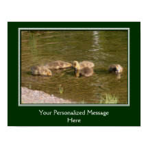 ベビーカナダグースリング独自の作成