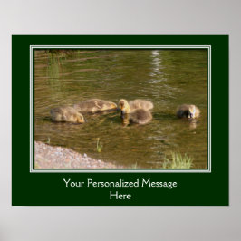 ベビーカナダグースリング独自の作成 ポスター