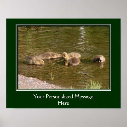 ベビーカナダグースリング独自の作成 ポスター (正面)