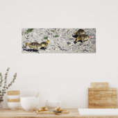 ベビーカナダゲーゼポスター ポスター (キッチン)