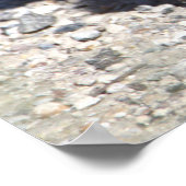 ベビーカナダゲーゼポスター ポスター (角)