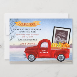 ベビーカボチャ赤トラック超音波妊娠 案内状