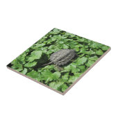 ベビーカミツキガメ瓦 タイル (側面)