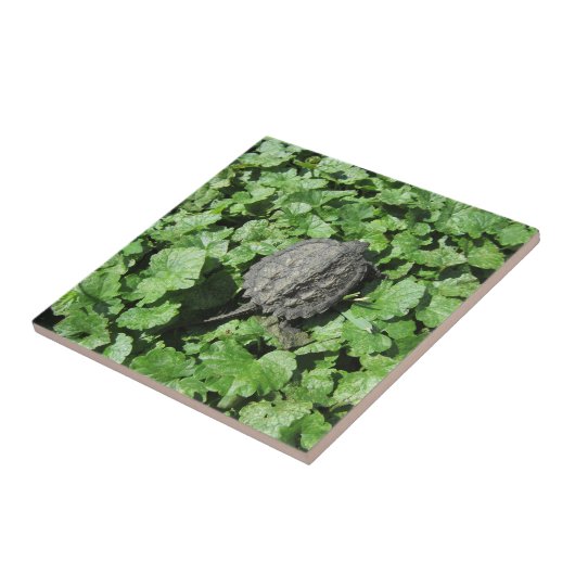 ベビーカミツキガメ瓦 タイル (側面)