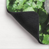 ベビーカミツキガメ マウスパッド (コーナー)