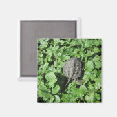 ベビーカミツメ磁石 マグネット (正面/裏面)