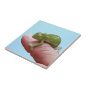 ベビーカメレオン視点 タイル (側面)