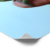 ベビーカメレオン視点 ポスター (角)