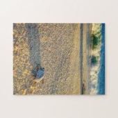 ベビーカメ歩くの海へロスカボス ジグソーパズル (横)