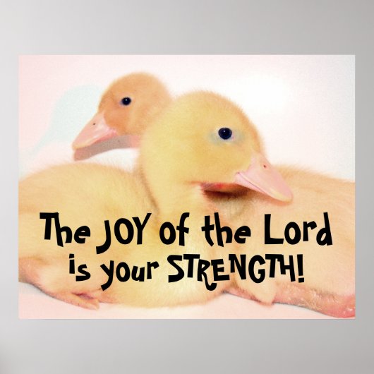 ベビーカモ養鶏鳥獣ペット ポスター (正面)