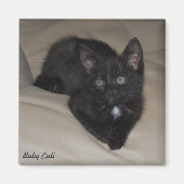 ベビーカリ マグネット (正面)