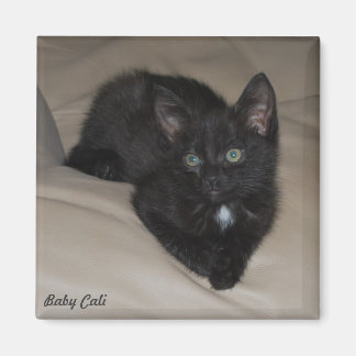 ベビーカリ マグネット