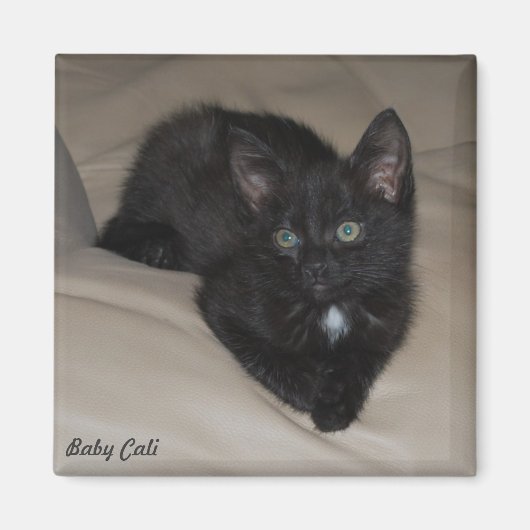 ベビーカリ マグネット (正面)