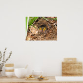 ベビーカロリーナレンスポスター ポスター (キッチン)