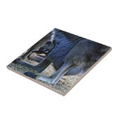 ベビーカンガルー母ポーチ – オーストラリア タイル (側面)