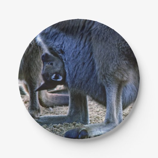 ベビーカンガルー母ポーチ – オーストラリア ペーパープレート (正面)