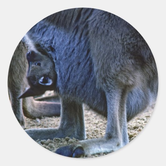 ベビーカンガルー母ポーチ – オーストラリア ラウンドシール (正面)