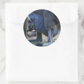 ベビーカンガルー母ポーチ – オーストラリア ラウンドシール (バッグ)