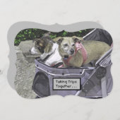 ベビーカーで2匹の犬を飼い始める (正面/裏面)