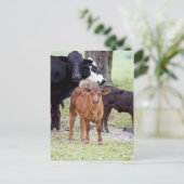 ベビーカーフイン春 ポストカード (スタンド正面)