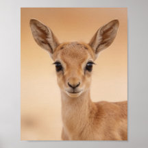 ベビーガゼルの肖像 - かわいい子供部屋の動物の壁掛けアート