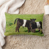 ベビーガロウェイカーブリュンバークッション ランバークッション (ブランケット)