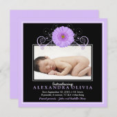 ベビーガールパープルデイジー写真誕生のお知らせ 案内状 (正面/裏面)