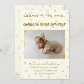 ベビーガール新着 案内状 (正面/裏面)